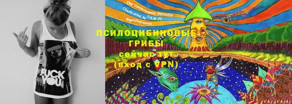 мяу мяу мука Армянск