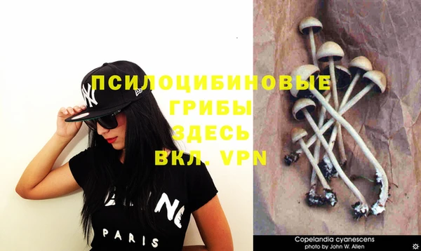 бутират Баксан