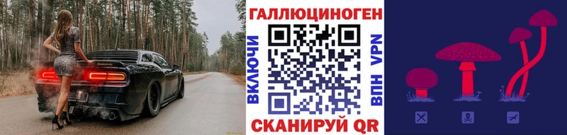 Галлюциногенные грибы мухоморы  Дмитриев 